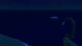 bird underwater