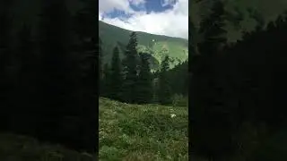 #runningblogger #shortvideo ##sports #youtubeshorts #video #viralshorts