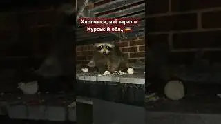 🙏❤️🦝 Поверніть енота до Херсона 🍉🍉🍉