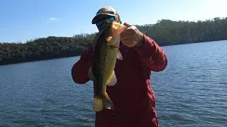 Pescaria de Tucunaré e saiu um blackBass em Salesopoles!