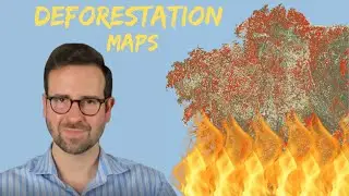 Mapping deforestation with R