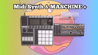 Setup Your External Synth with MASCHINE+ | Quick MIDI Guide