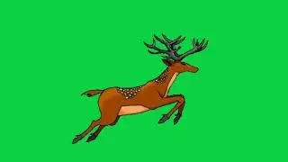 running deer animated green screen video.