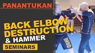 Panantukan: Back Elbow Destruction & Hammer