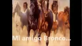 .•♥• Se murió mi amigo Bronco •♥• ( Grupo Bronco )