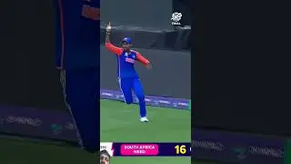 Cricket Green screen shorts video