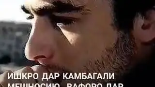 Дустро дар пасти мешиноси 🤝✊👊❤️❤️