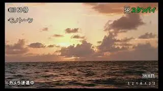 Relaxing Sound of Ocean Waves hitting the Beach with a Sunset View |  Melancholy
