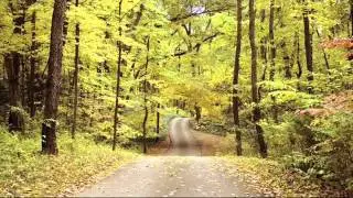 Детские песни .Осенние дорожки.wmv