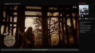 Rdr2 проходим через стены