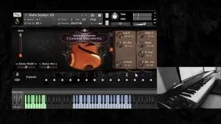 Versilian Studios Chamber Orchestra - Ensemble Strings