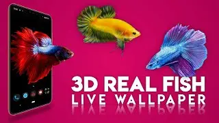 Best Live Wallpaper For Android 2021 | Betta Fish Live Wallpaper FREE | Ravi Ranjan | Tech Informer