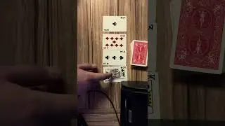 3 мая 2024 г.