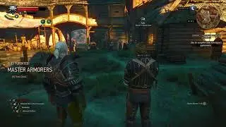Witcher 3 Master Armour testing | The bolt didn't even hit me #witcher