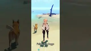Genshin Impact 2 0 Inazuma Hidden Dog Chest In Jinren Island 