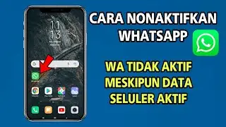 Cara Menonaktifkan Whatsapp