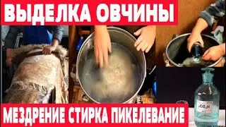 Мездрение, обезжиривание, пикелевание шкуры. Выделка овчины. Часть 3