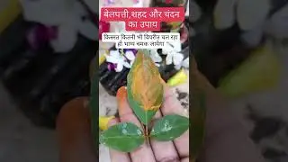 Har Har mahadev 🙏