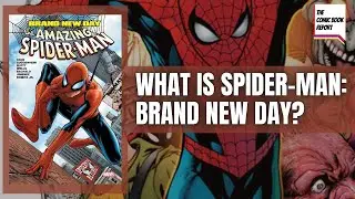 What is Spider Man: Brand New Day? | Spider Man Brand New Day Omnibus Vol  1 Overview | 