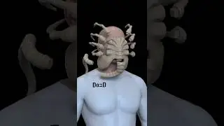#Alien Romulus #Facehugger 3D print file from do3d.com #alineromulus #3dprinting #cosplay #do3d #stl