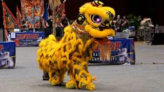 USDLDF National Dragon and Lion Dance Championships 2023 Austin Texas- mua lan 4K