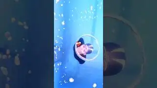 You can learn swimming at any age - Life after swimming 