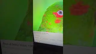 СРОЧНО! ВИДЕО В 4К КОГДА ЮТУЮ СЛОМАЛСЯ 2024