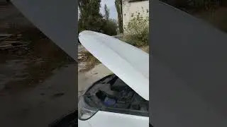 10 октября 2023 г.