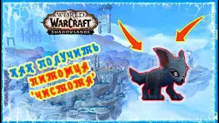 ПИТОМЕЦ ЧИСТОТА 🔥 ИСПЫТАНИЕ ЧИСТОТЫ 🔥 Pet Purity Gift of Vesiphone GUIDE