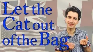Let the Cat out of the Bag