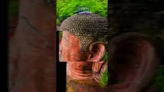 Exploring the Majestic Leshan Giant Buddha! #hindi #travel #facts  #buddhism