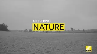 Embrace the Choice | Nature | NIKKOR Z Series