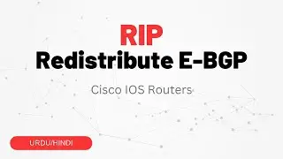 Redistributing EBGP Routes into RIP - Step-by-Step Configuration Guide | Urdu/Hindi
