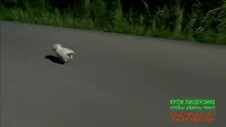 12 часов
