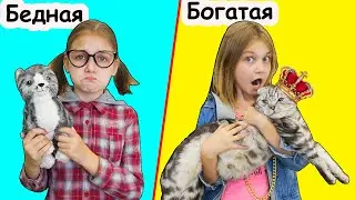 БОГАТАЯ завела БЕДНОГО кота