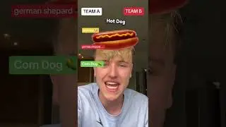 3 Dogs Attacking Me Vs 3 Defending Me