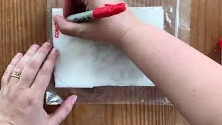At home germination experiment setup