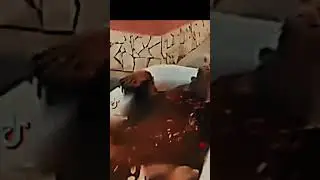 цето Фреди фазбер😈😈😈