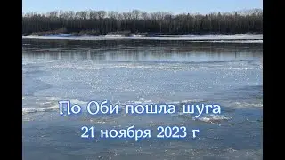 По Оби пошла шуга. КИРЕЕВСК-СФТИ. 21 ноября 2023 г