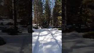 Гусеничный болотоход Хома по насту