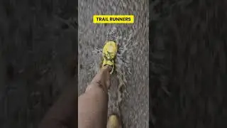 Road vs. Trail