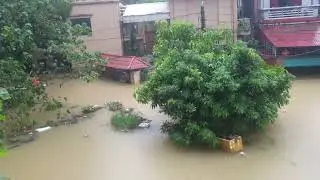 yagy 7h00 10.9.2024 Không ổn rồi! Nhà mình mọi người thê nào rùi....
