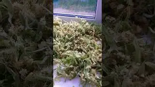 Муж получил по шее и выполнил план🤣🤣🤣