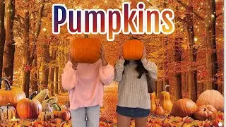Fall Festivities Must Continue! Pumpkin Patch and Carving Ours!