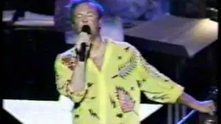 Peter Allen performs 