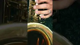 La Vie en Rose 🎷🤩 #lavieenrose #saxcover #saxofon #acapella