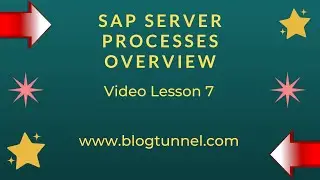SAP Server Processes | User Overview | Updates #sapbasis #saplearning #learning