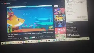 Windows 10 Baby Shark Has BSOD