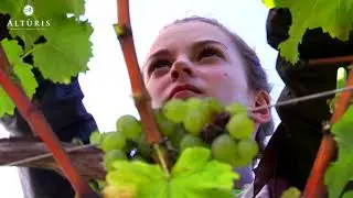 Altùris Winery, Friuli-Venezia Guilia