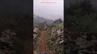 ⚙️ Cloudy Weather Ride ⚙️ Vietnam Motorbike Tours #vietnam #motorcycle #motorbike #tours #wayoflife